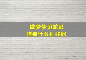 做梦梦见蛇跟猫是什么征兆呢