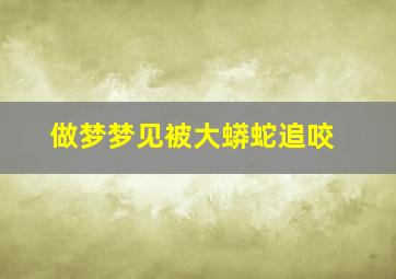 做梦梦见被大蟒蛇追咬