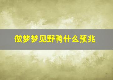 做梦梦见野鸭什么预兆