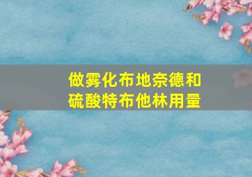 做雾化布地奈德和硫酸特布他林用量