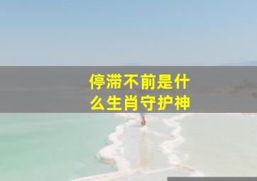 停滞不前是什么生肖守护神