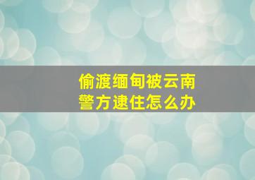 偷渡缅甸被云南警方逮住怎么办