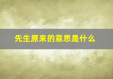 先生原来的意思是什么