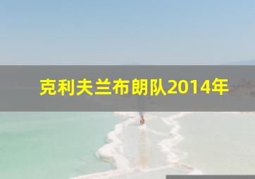 克利夫兰布朗队2014年