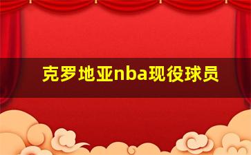 克罗地亚nba现役球员