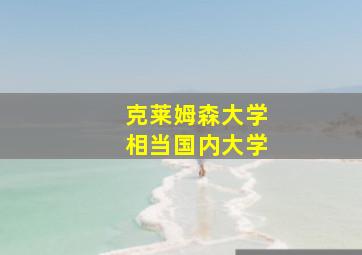 克莱姆森大学相当国内大学