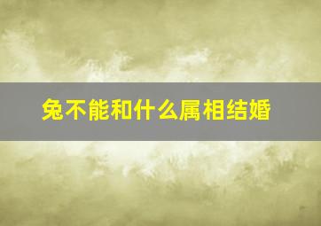 兔不能和什么属相结婚