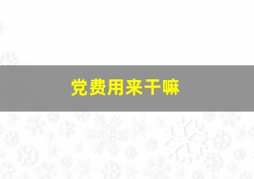 党费用来干嘛