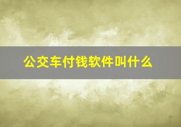 公交车付钱软件叫什么