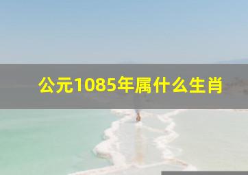 公元1085年属什么生肖