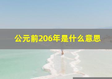 公元前206年是什么意思