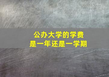 公办大学的学费是一年还是一学期