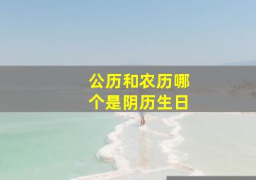 公历和农历哪个是阴历生日