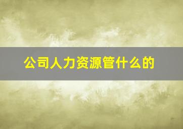 公司人力资源管什么的