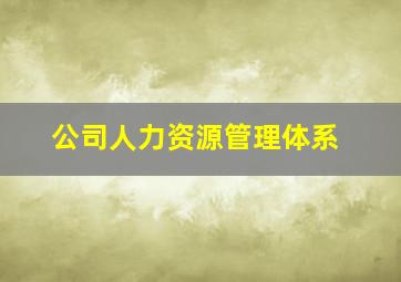 公司人力资源管理体系