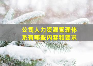 公司人力资源管理体系有哪些内容和要求