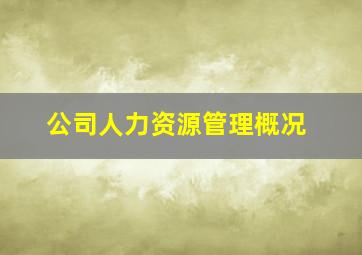 公司人力资源管理概况