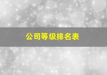 公司等级排名表