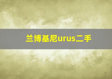 兰博基尼urus二手