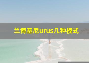 兰博基尼urus几种模式