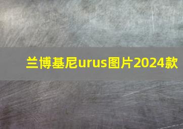 兰博基尼urus图片2024款