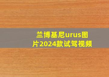 兰博基尼urus图片2024款试驾视频