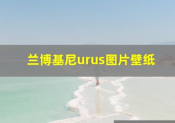 兰博基尼urus图片壁纸