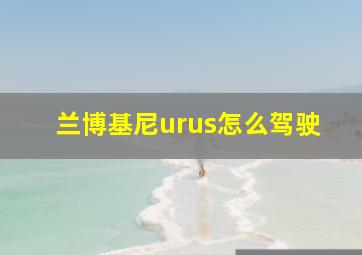 兰博基尼urus怎么驾驶