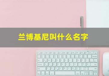 兰博基尼叫什么名字