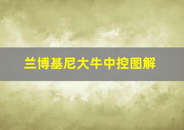 兰博基尼大牛中控图解