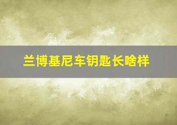 兰博基尼车钥匙长啥样