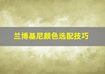 兰博基尼颜色选配技巧