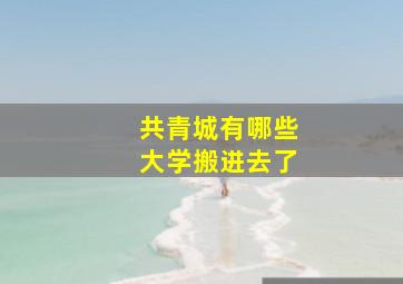 共青城有哪些大学搬进去了