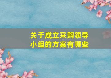 关于成立采购领导小组的方案有哪些