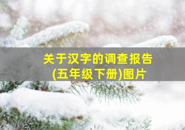 关于汉字的调查报告(五年级下册)图片