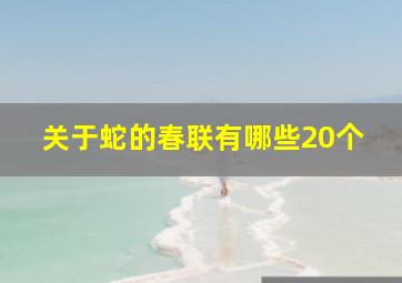 关于蛇的春联有哪些20个