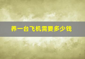 养一台飞机需要多少钱