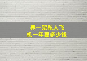 养一架私人飞机一年要多少钱