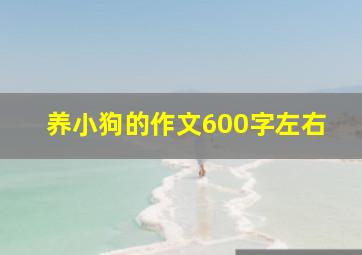 养小狗的作文600字左右