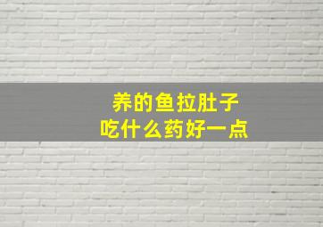 养的鱼拉肚子吃什么药好一点