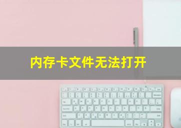 内存卡文件无法打开