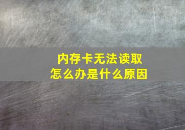 内存卡无法读取怎么办是什么原因