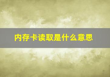 内存卡读取是什么意思