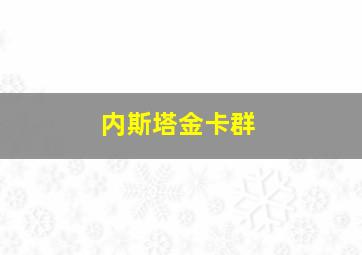 内斯塔金卡群