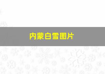 内蒙白雪图片