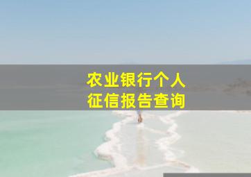 农业银行个人征信报告查询