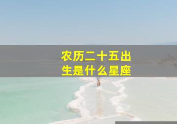 农历二十五出生是什么星座