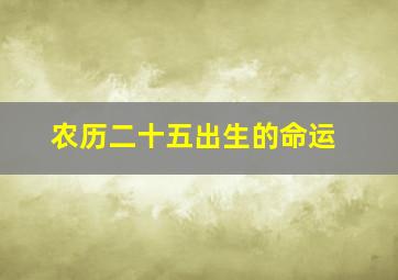 农历二十五出生的命运