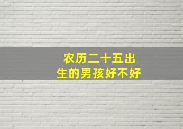 农历二十五出生的男孩好不好