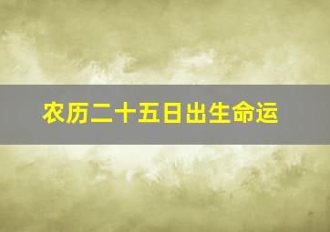 农历二十五日出生命运